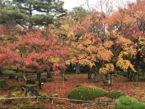 由志園の日本庭園 イルミネーションは絶賛 身体に良い売店の人気商品は ふみのにわ伝言板